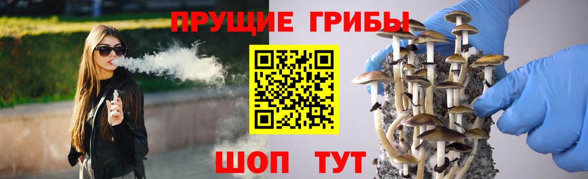 Галлюциногенные грибы MAGIC MUSHROOMS  Вход с VPN  Галлюциногенные грибы MAGIC MUSHROOMS  Батайск 
